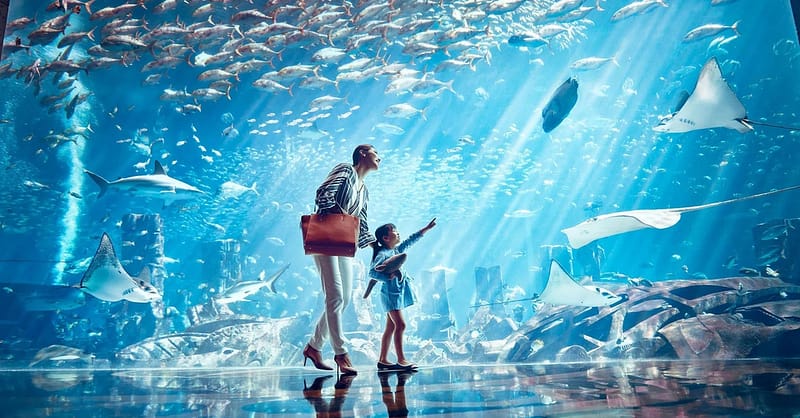 Visit Dubai Frame W/ Lost Chamber Aquarium, Dubai Aquarium & Img World Dubai Shafqa.com Online Shopping, Best Prices in Dubai UAE 3