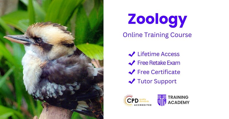 Zoo / Animal Park Sharjah & N. Emirates Shafqa.com Online Shopping, Best Prices in Dubai UAE 2