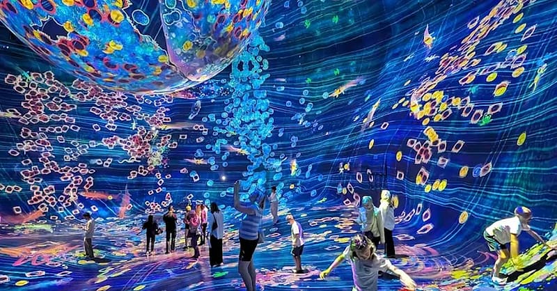 Explore Teamlab Phenomena General Admission For Adults And Youths Abu Dhabi Shafqa.com Online Shopping, Best Prices in Dubai UAE 2
