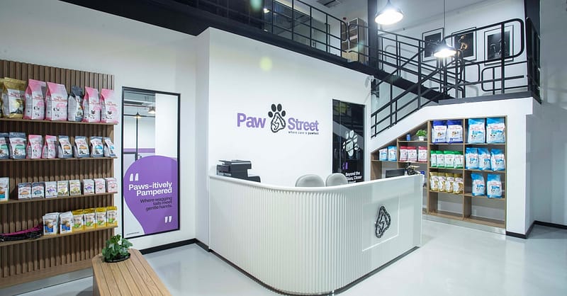 Pamper Your Pet Basic Or Full Grooming For Small To Xl Dogs Or Cats Dubai Shafqa.com Online Shopping, Best Prices in Dubai UAE 2