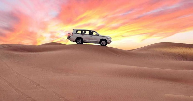 Safari Park Dubai Shafqa.com Online Shopping, Best Prices in Dubai UAE 2