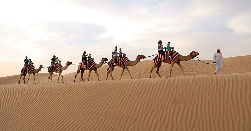 Tour – Bike Dubai Shafqa.com Online Shopping, Best Prices in Dubai UAE 2