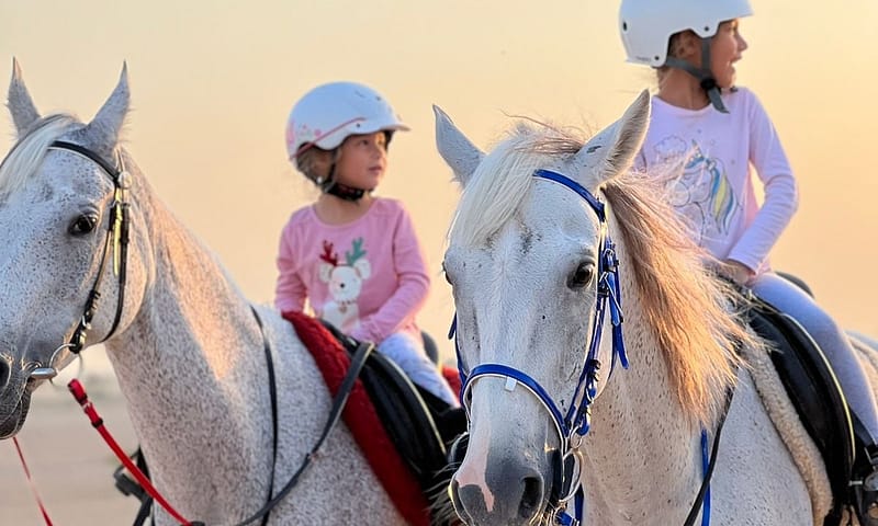 Pony Ride, Desert Hack, Desert Tail Ride At Jsr Stables Dubai Shafqa.com Online Shopping, Best Prices in Dubai UAE 5
