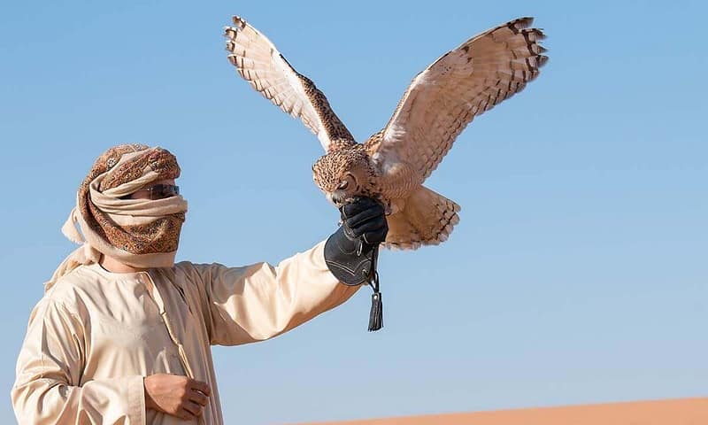 Desert Safari W/ Centralized Van W/ Optional 30-Min Quad Bike, & More Sharjah & N. Emirates Shafqa.com Online Shopping, Best Prices in Dubai UAE 13