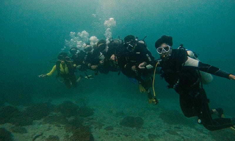 Dive Into Adventure With Diving Course Dubai Shafqa.com Online Shopping, Best Prices in Dubai UAE 11