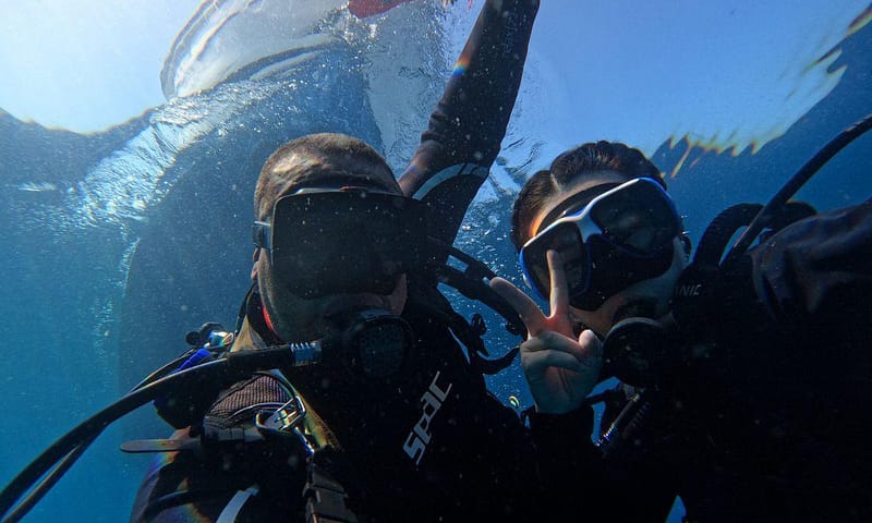 Dive Into Adventure With Diving Course Dubai Shafqa.com Online Shopping, Best Prices in Dubai UAE 3