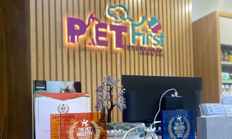 Dog / Cat Grooming From Best Veterinary Clinic In The Uae Award Winner Dubai Shafqa.com Online Shopping, Best Prices in Dubai UAE 21