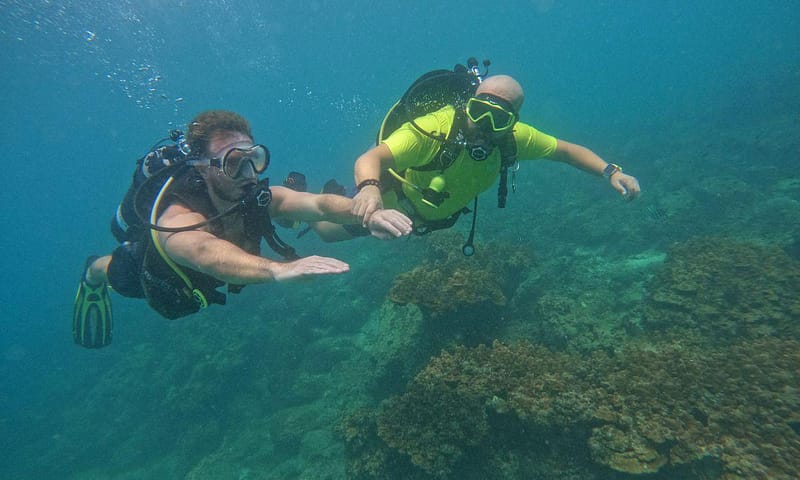Embark On Adventure: Try Dive, Snorkeling Trip And Boat Trip Dubai Shafqa.com Online Shopping, Best Prices in Dubai UAE 10