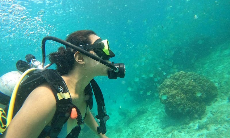 Embark On Adventure: Try Dive, Snorkeling Trip And Boat Trip Dubai Shafqa.com Online Shopping, Best Prices in Dubai UAE 2