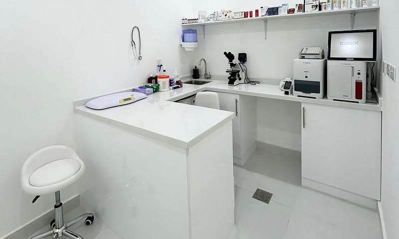 Grooming For Medium Dogs, Large Dogs, And Cats/Small Dogs Dubai Shafqa.com Online Shopping, Best Prices in Dubai UAE 4