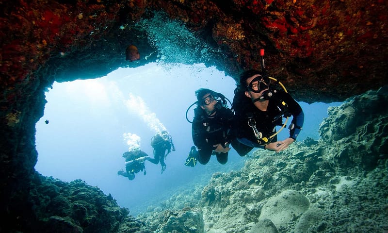 Scuba Diving Experience Dubai Shafqa.com Online Shopping, Best Prices in Dubai UAE 5