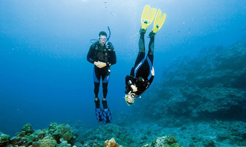 Scuba Diving Experience Dubai Shafqa.com Online Shopping, Best Prices in Dubai UAE 7