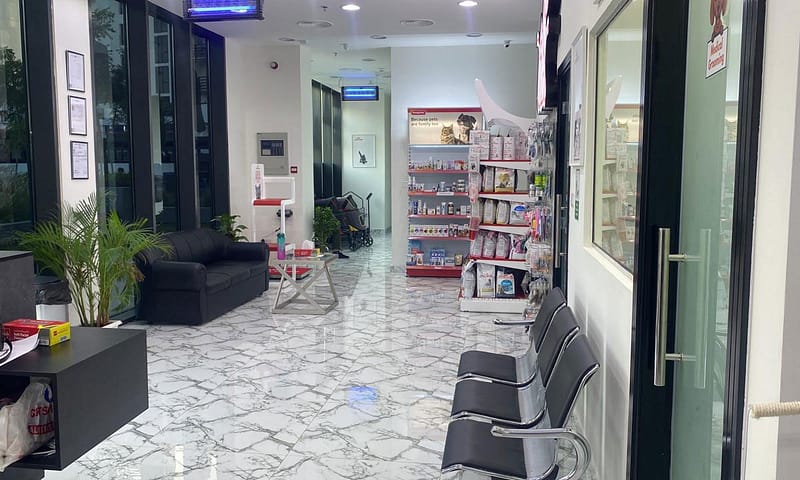 Specialized Veterinary Care With Surgery And Collar Included For Pets Sharjah & N. Emirates Shafqa.com Online Shopping, Best Prices in Dubai UAE 4
