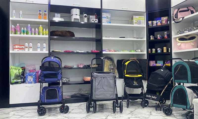 Specialized Veterinary Care With Surgery And Collar Included For Pets Sharjah & N. Emirates Shafqa.com Online Shopping, Best Prices in Dubai UAE 5