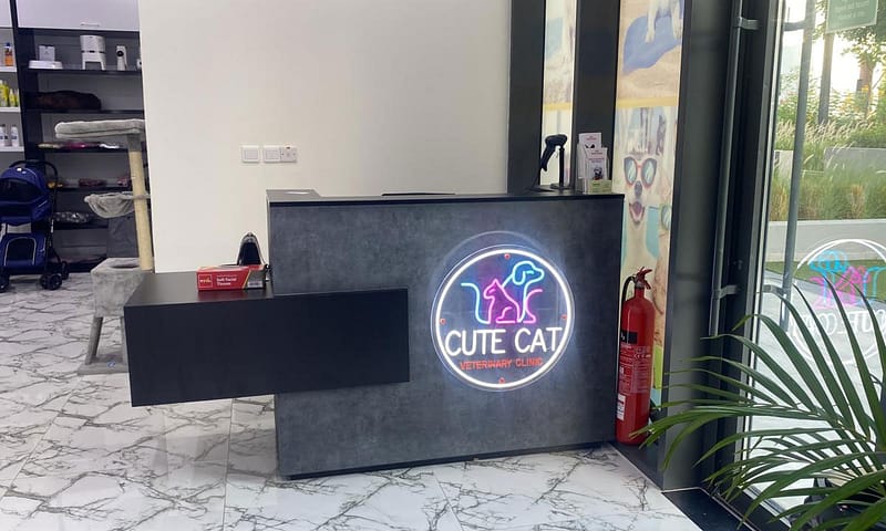 Specialized Veterinary Care With Surgery And Collar Included For Pets Sharjah & N. Emirates Shafqa.com Online Shopping, Best Prices in Dubai UAE 6