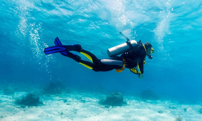 Vip Scuba Diving Tour Dubai Shafqa.com Online Shopping, Best Prices in Dubai UAE 3